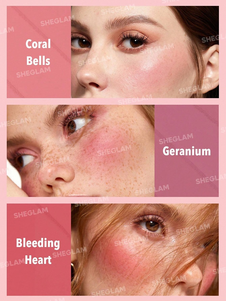 پالت رژگونه 6 رنگ طرح شیگلم مدل Floral( دو طیف رنگی)